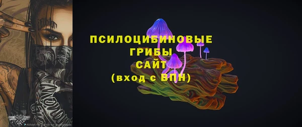 стафф Хадыженск